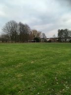 View of green.